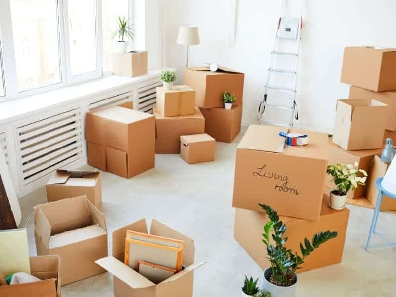 vide grenier par box plus