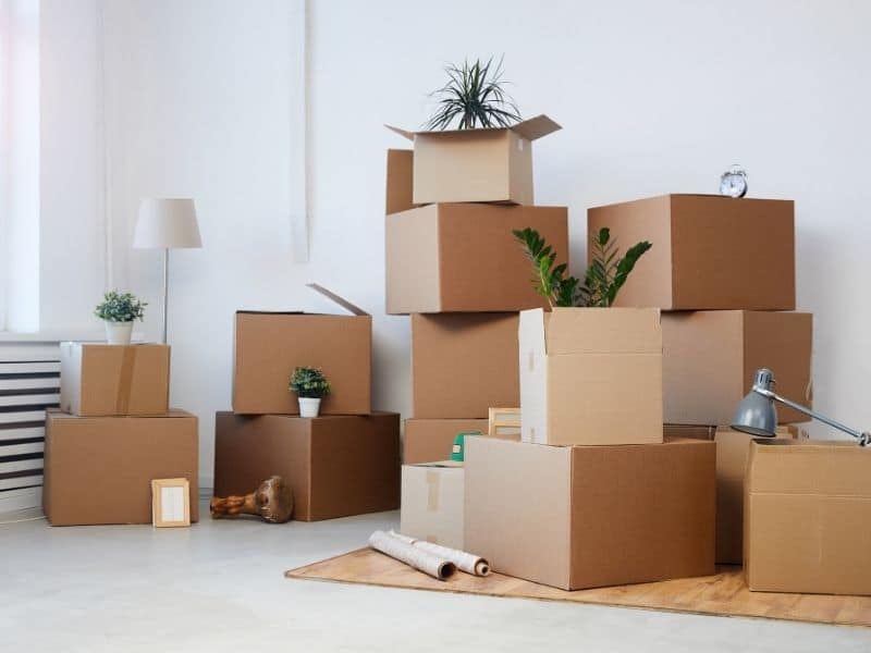 Organisation de cartons - Déménagement