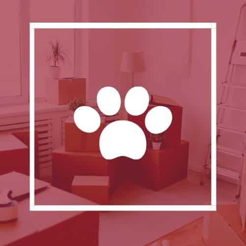 déménagement animaux