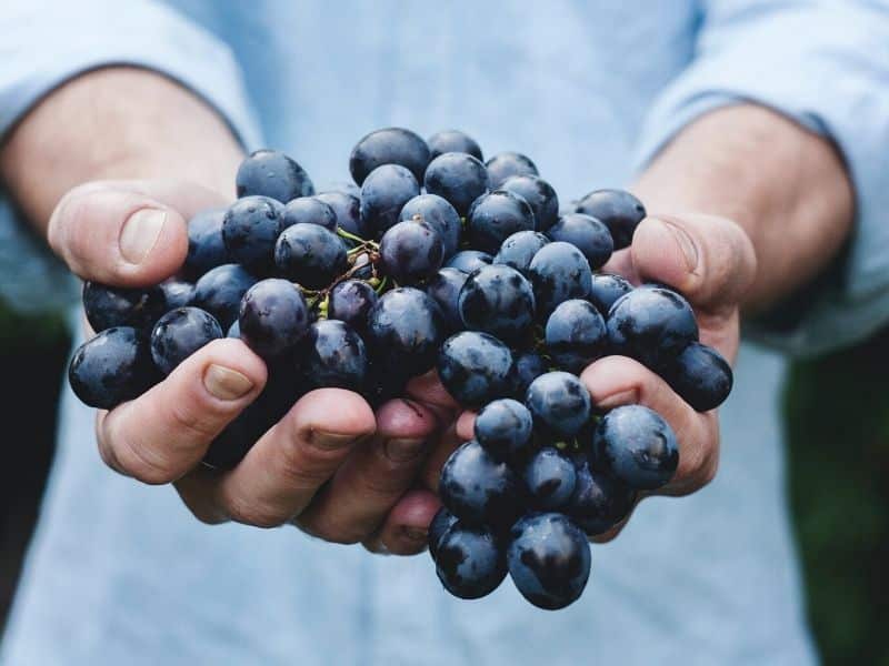 déménagement bouteilles de vin