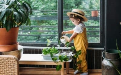 Comment déménager mes plantes ? Conseils